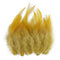 Ginger / 500PCS