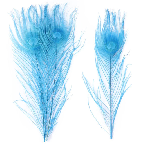 Premium Peacock Eye Feathers 10PC