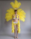 Deluxe Feather Flower Backboard Showgirl Performance Set