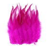 Natural Pheasant & Chicken Craft Feathers Bulk Lot