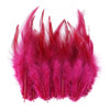 Natural Pheasant & Chicken Craft Feathers Bulk Lot