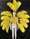 Feather Backpiece and Plume Headdress Set