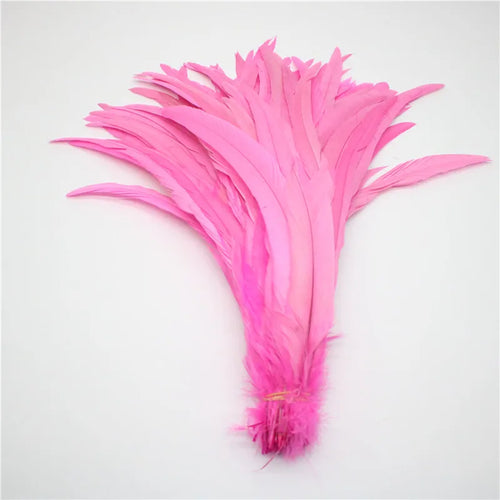 50pcs Natural Rooster Tail Feather Plumes