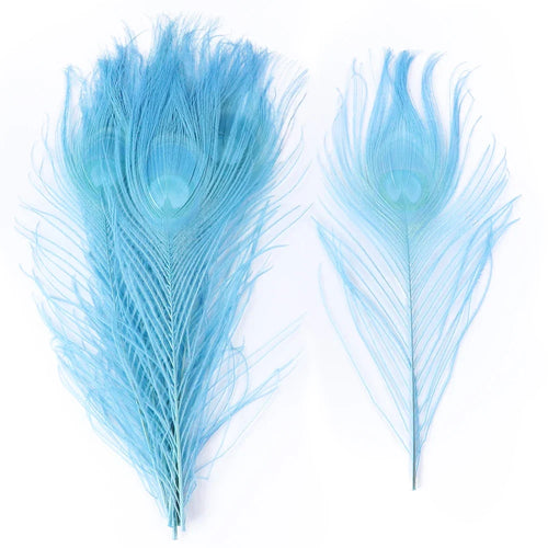 Premium Peacock Eye Feathers 10PC