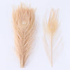 Premium Peacock Eye Feathers 10PC