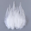 Natural Pheasant & Chicken Craft Feathers Bulk Lot