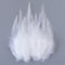 White / 500PCS