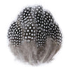Natural Spotted Guinea Fowl Feathers 100PC