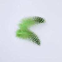 Natural Spotted Guinea Fowl Feathers 100PC