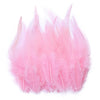 Natural Pheasant & Chicken Craft Feathers Bulk Lot