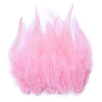 Natural Pheasant & Chicken Craft Feathers Bulk Lot