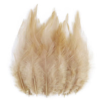 Natural Pheasant & Chicken Craft Feathers Bulk Lot