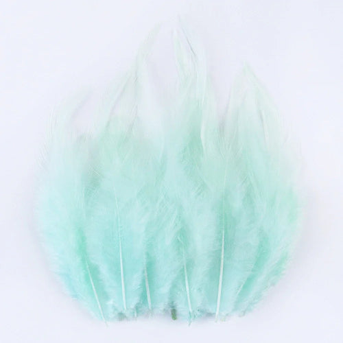 Natural Pheasant & Chicken Craft Feathers Bulk Lot