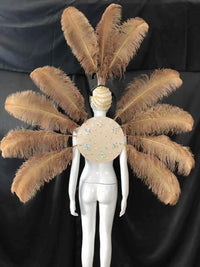 Feather Backpiece and Plume Headdress Set