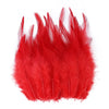 Natural Pheasant & Chicken Craft Feathers Bulk Lot