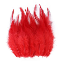 Natural Pheasant & Chicken Craft Feathers Bulk Lot