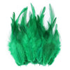 Natural Pheasant & Chicken Craft Feathers Bulk Lot