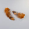 Natural Spotted Guinea Fowl Feathers 100PC