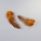 Orange / 100PCS