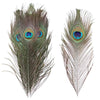 Premium Peacock Eye Feathers 10PC