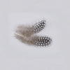 Natural Spotted Guinea Fowl Feathers 100PC