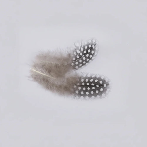 Natural Spotted Guinea Fowl Feathers 100PC