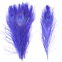 Premium Peacock Eye Feathers 10PC