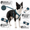 Pet Life ® 'Escapade' Outdoor Series 2-in-1 Convertible Dog Leash and Harness