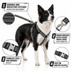 Pet Life ® 'Escapade' Outdoor Series 2-in-1 Convertible Dog Leash and Harness