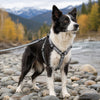 Pet Life ® 'Escapade' Outdoor Series 2-in-1 Convertible Dog Leash and Harness