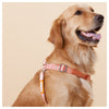 Touchdog ® 'Macaron' 2-in-1 Durable Nylon Dog Harness and Leash