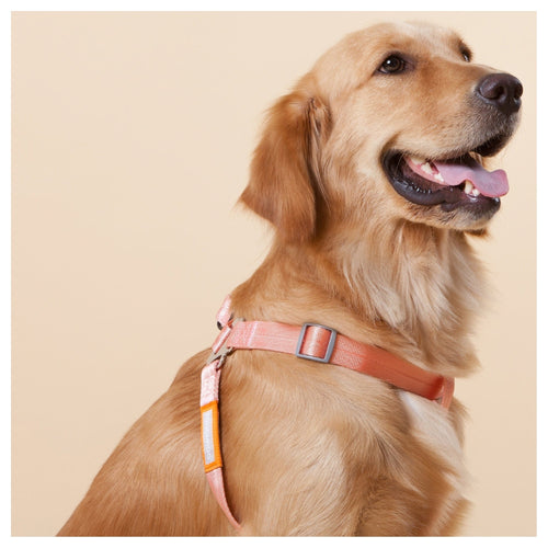 Touchdog ® 'Macaron' 2-in-1 Durable Nylon Dog Harness and Leash
