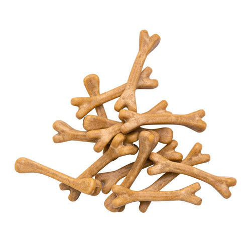 Fresh Breath Dental Bones
