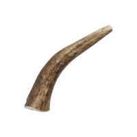Natural Elk Antlers - Whole