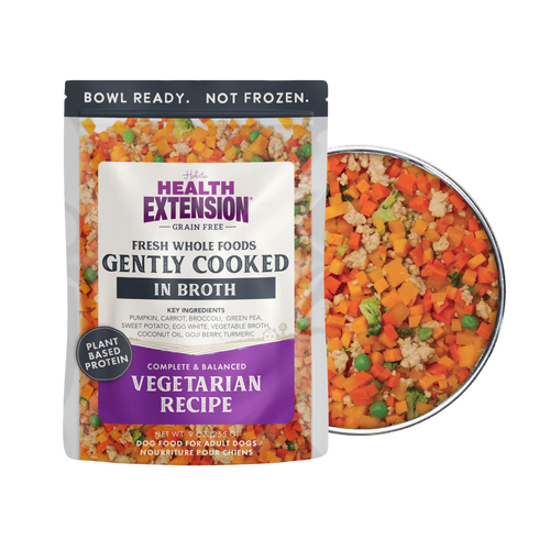 Gently Cooked Grain Free Vegetarian Recipe