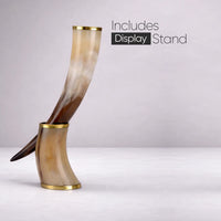 Real Ox Horn Drinking Horn with Stand 16 oz Beer Mug Gift