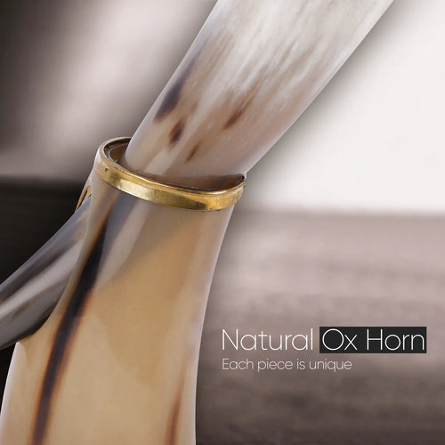 Real Ox Horn Drinking Horn with Stand 16 oz Beer Mug Gift