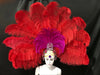 The Stardust Samba Enchantment – Exquisite Feathered Dance & Stage Headdress