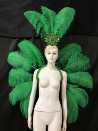 Feather Backpiece and Plume Headdress Set