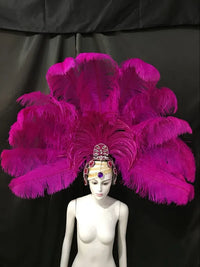 The Stardust Samba Enchantment – Exquisite Feathered Dance & Stage Headdress
