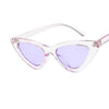 Elegant Cute Retro Cat Eye Sunglasses For  Women With Small Black White Triangle Vintage Ladies Sunglasses and UV400 Protection