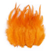 Natural Pheasant & Chicken Craft Feathers Bulk Lot