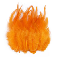 Natural Pheasant & Chicken Craft Feathers Bulk Lot