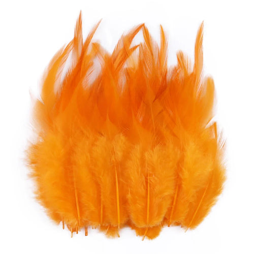 Natural Pheasant & Chicken Craft Feathers Bulk Lot