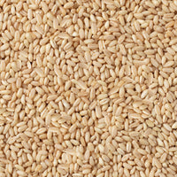 Hasata Wheat Peeled 1Kg