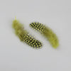 Natural Spotted Guinea Fowl Feathers 100PC