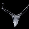 Luxury Rhinestone Bikini Body Chain Set – Shimmering Crystal Harness Bra & Thong Set for Festivals, Raves & Exotic Clubwear