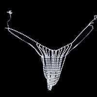 Luxury Rhinestone Bikini Body Chain Set – Shimmering Crystal Harness Bra & Thong Set for Festivals, Raves & Exotic Clubwear
