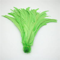 50pcs Natural Rooster Tail Feather Plumes