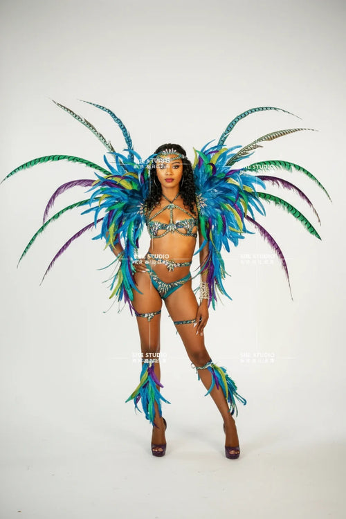 The Stardust Empress Royale – Deluxe Feathers & Crystal Bikini Samba Performance Costume Set